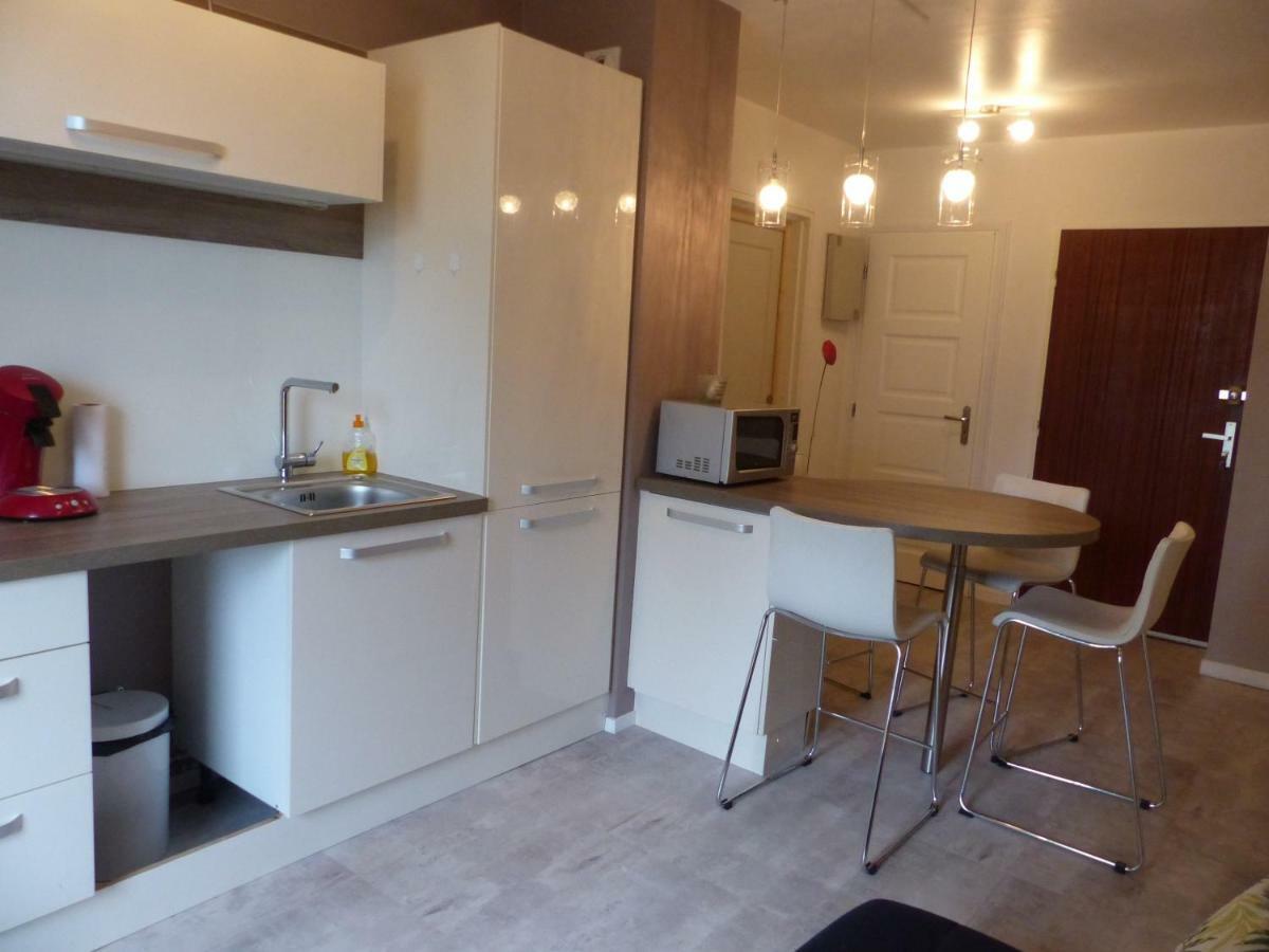 Appartement Au Calme, Avec Parc Prive, 50M Du Tram Tours Eksteriør billede